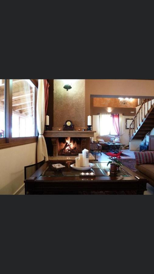Aetoma Suites Synikia Mesi Trikalon エクステリア 写真