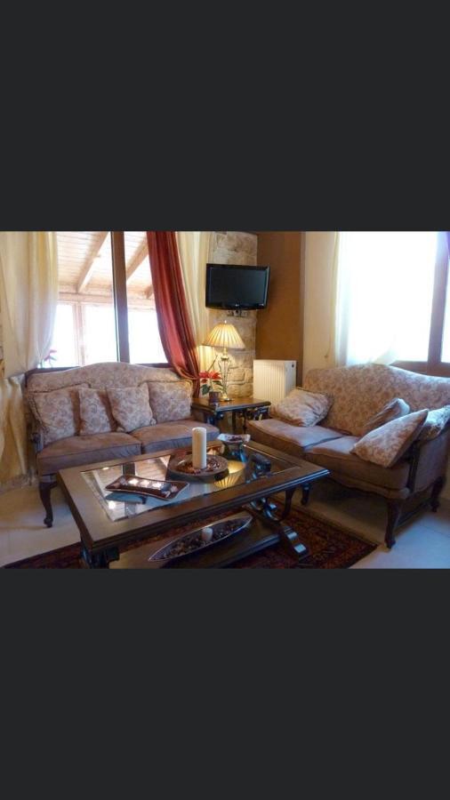 Aetoma Suites Synikia Mesi Trikalon エクステリア 写真