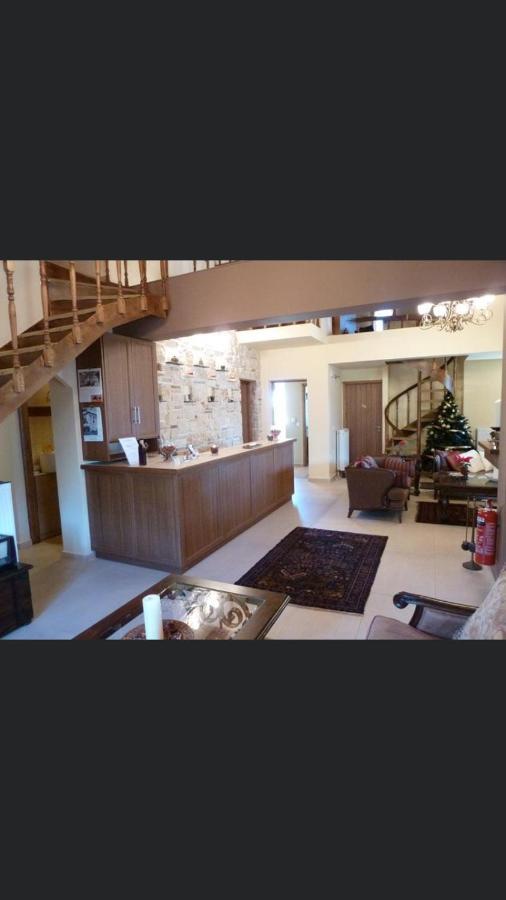 Aetoma Suites Synikia Mesi Trikalon エクステリア 写真