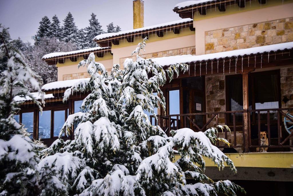 Aetoma Suites Synikia Mesi Trikalon エクステリア 写真