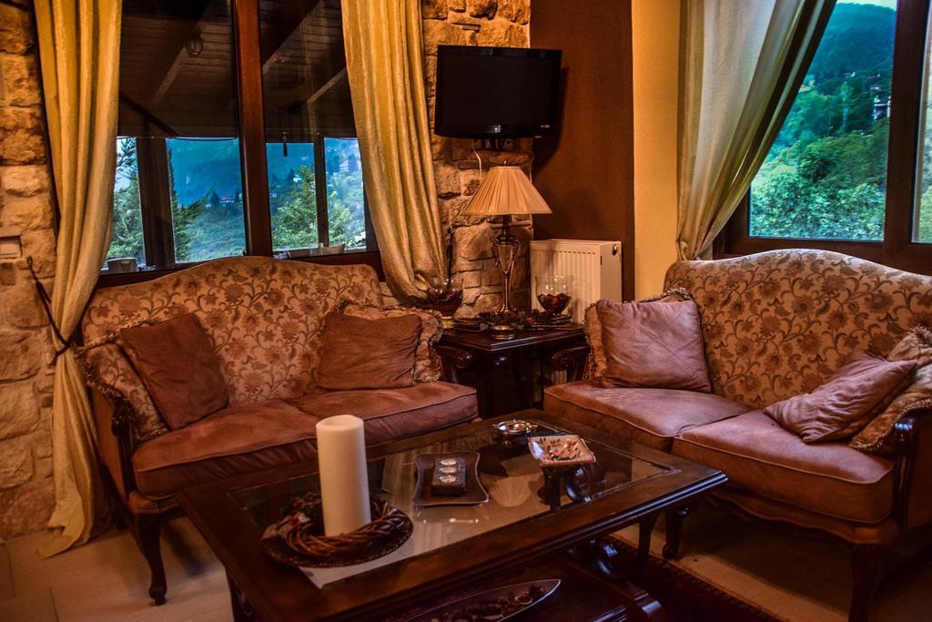 Aetoma Suites Synikia Mesi Trikalon エクステリア 写真