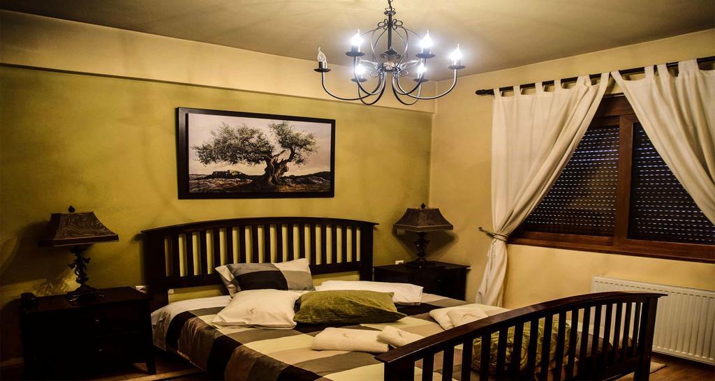 Aetoma Suites Synikia Mesi Trikalon エクステリア 写真